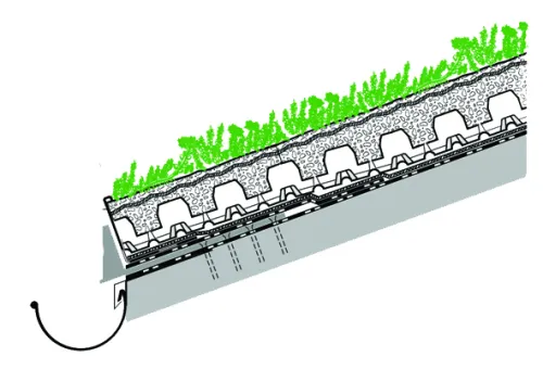 Steildach mit Begrünung - Schrägdachbegrünung